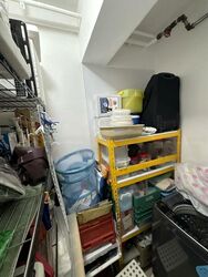 Central Green Condominium (D3), Condominium #483311251